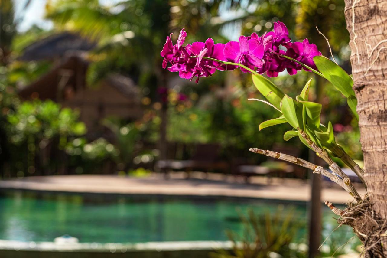 Hotel Ventura Barra Grande à Barra Grande  Extérieur photo